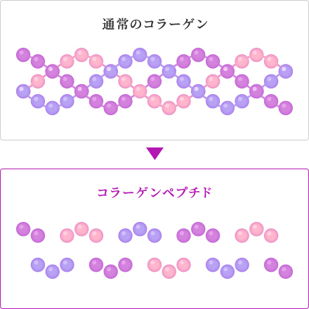 アルフェホワイトプログラム